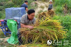 贵州凯里供电局：当农民贴心人 做致富奠基石