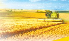 山东：农业保险护航“三农”生产