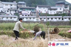 四川：青川“打臭”村“打贫”有一套