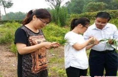 江苏农技推广中心主任莫渟：脚踩泥土心种田