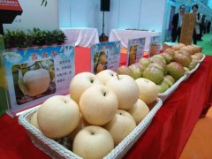 “吃威梨，有威力！” 河北威梨亮相中国（北京）国际果蔬展览会
