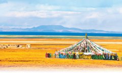 美丽中国：羌塘草原 万物霜天竞自由