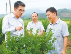 不辞辛苦“入”山林 ——记广西金秀县村书记李峰