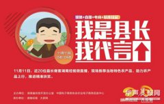 《我是县长，我代言》