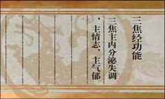 敲打三焦经  气顺百病消