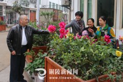 安徽铜陵：种植花草 美化集镇