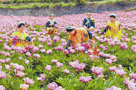 四川：送去“旅游饭”让贫困地区摘穷帽