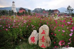 河北五台山风景区：发展乡村旅游推动全面脱贫