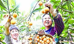 遂宁农民冯庆伟：凝聚乡情致富乡里