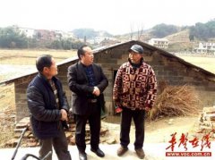 村支书朱鸿欣：让寸石黑猪成为当地百姓脱贫的支柱产业