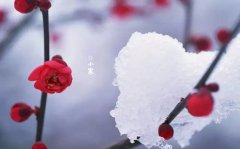<b>今日小寒：小寒数九 腊八喝粥</b>