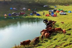 <b>重庆武隆“全域旅游” 坐着轨道上仙女山</b>