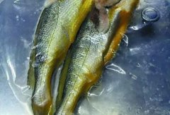 深圳：两条小黄鱼“吃”掉顾客4628元 商家被查处