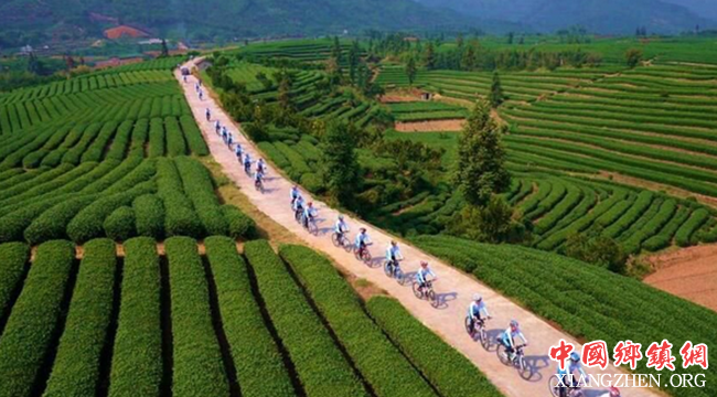 <b>让农业重回本色！党的十八大以来推进农业绿色发展成效综述</b>