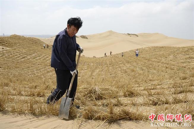 <b>王有德：生命不息 治沙不止</b>
