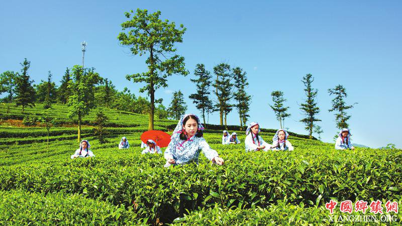 宜宾筠连：步履铿锵 打出脱贫攻坚“组合拳”