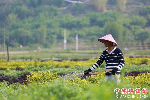 2018年全国培训扶贫干部779万人次 基层扶贫干部占94.2%