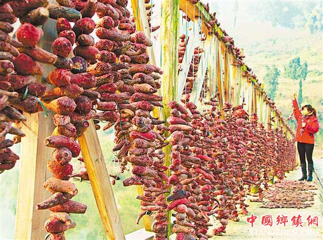 <b>重庆：“精准脱贫保”降低贫困群众致贫返贫率</b>