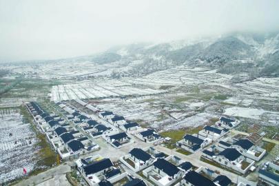 蔬菜改种草莓 改出脱贫新路