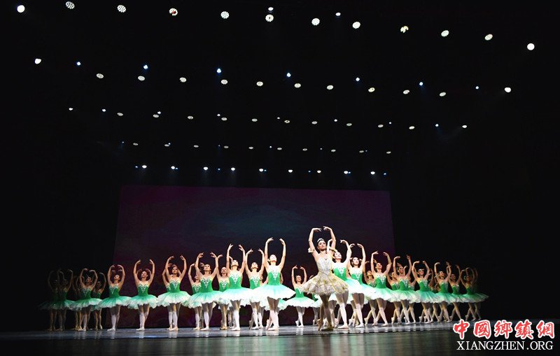 <b>第11届中国舞蹈“荷花奖”颁奖盛典在海口举行</b>