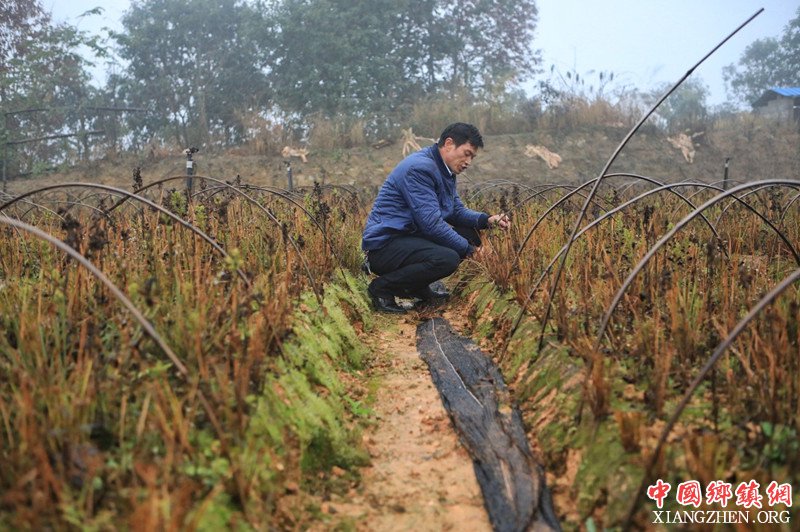 <b>贵州：特色产业助力脱贫攻坚</b>