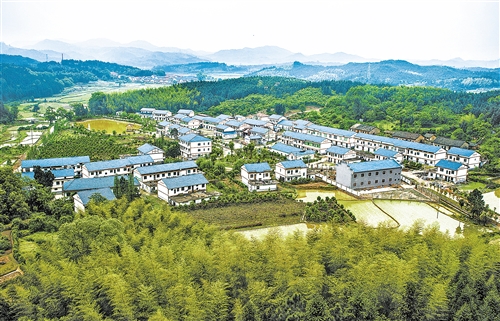 <b>今年“三农”领域将迎来更多好政策 为希望的田野增添新希望</b>