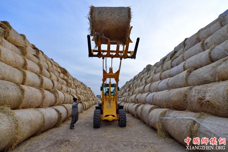 <b>河北唐山：秸秆回收利用 保护环境又增收</b>