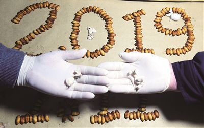 <b>绍兴：嵊州全国首次冬季育种春蚕</b>