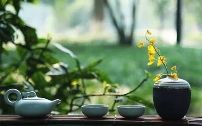 女性饮茶可防骨质疏松