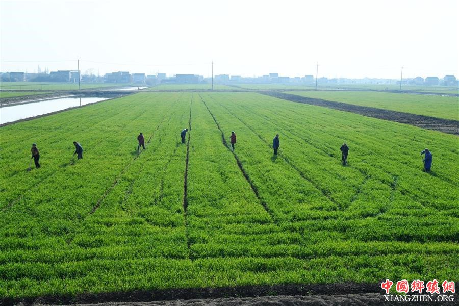 <b>江苏海门：加快推进高标准农田建设</b>