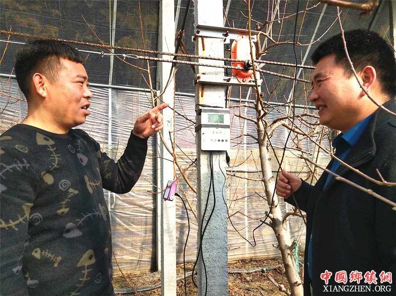 <b>山东郯城：农民动能“新转换” 大棚省下上万元</b>