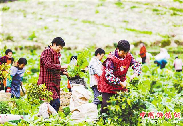 <b>初春忙农事</b>