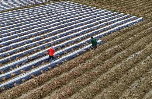 <b>雨水至 劳作忙</b>