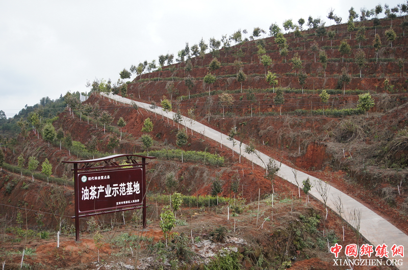 <b>宜宾翠屏区成功创建首批国家农村产业融合发展示范园</b>