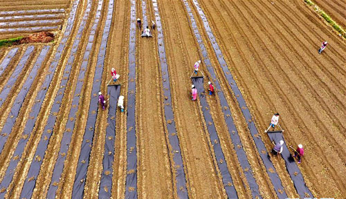 <b>初春农事忙</b>