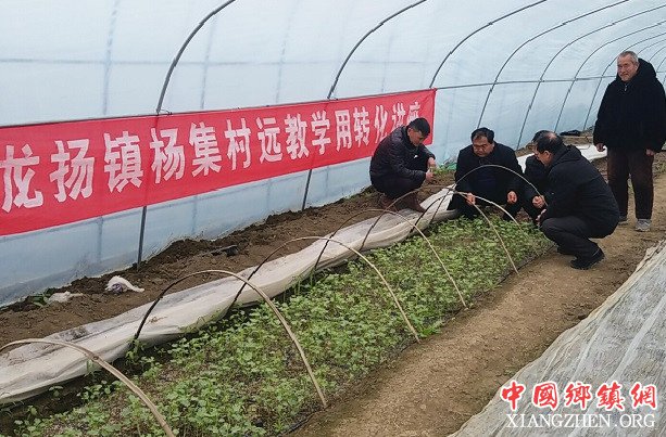 <b>安徽龙扬加大远教学用转化成果</b>