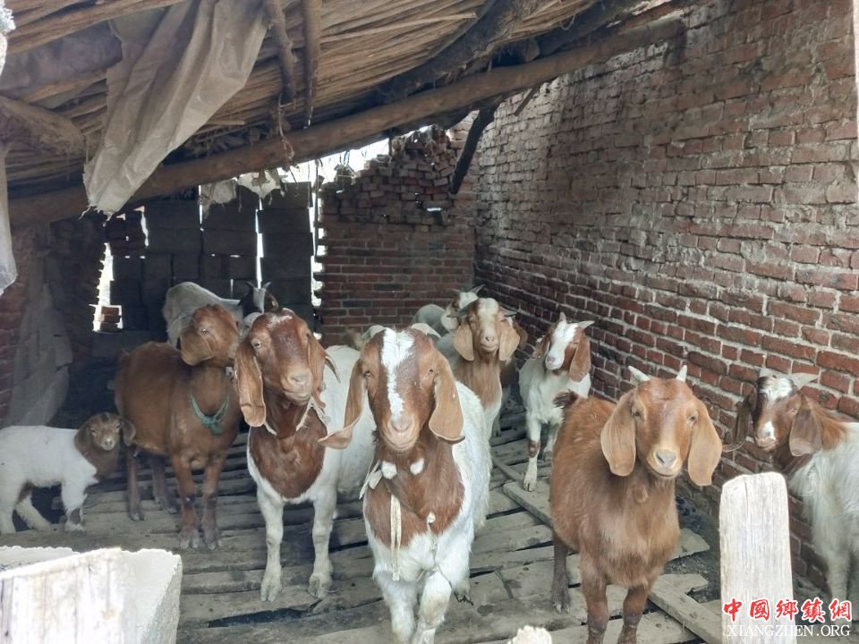 <b>精准扶贫   不落一人</b>