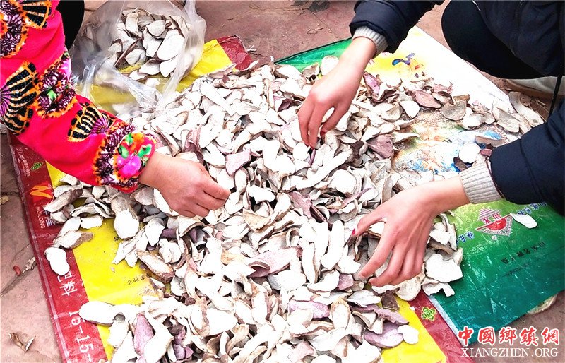 <b>山东郯城：令人“反胃”的地瓜干卖出好价钱</b>