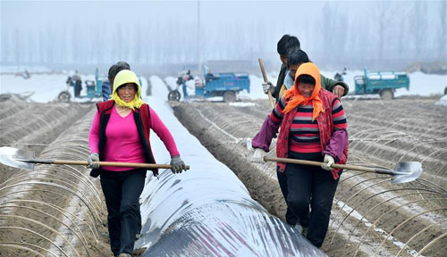 <b>春来农事忙</b>