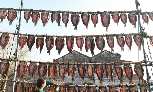 <b>久雨初晴晒鱼干</b>