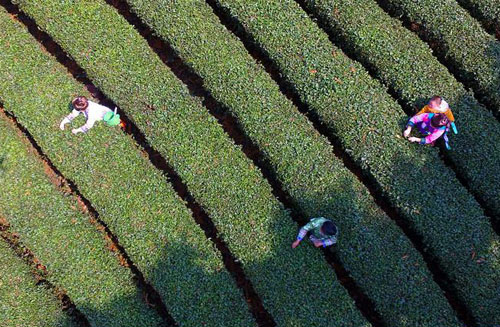 <b>春日劳动忙</b>