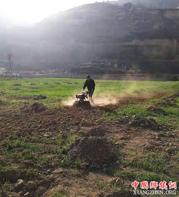 <b>陕西莲花寺镇龙潭村：倾力打造花椒产业在“山坡上”开花</b>