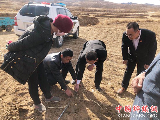 <b>一垄地亲兄弟对簿公堂 法官地头春风化雨续亲情</b>