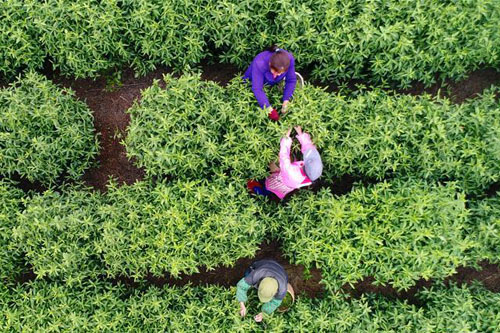 <b>春季人勤劳作忙</b>