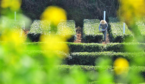 <b>农忙春天里</b>