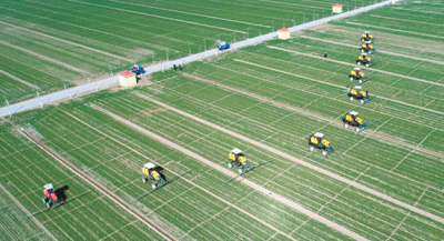 <b>为农业插上科技翅膀</b>