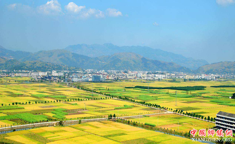<b>巴中通江推行粮食订单种植</b>