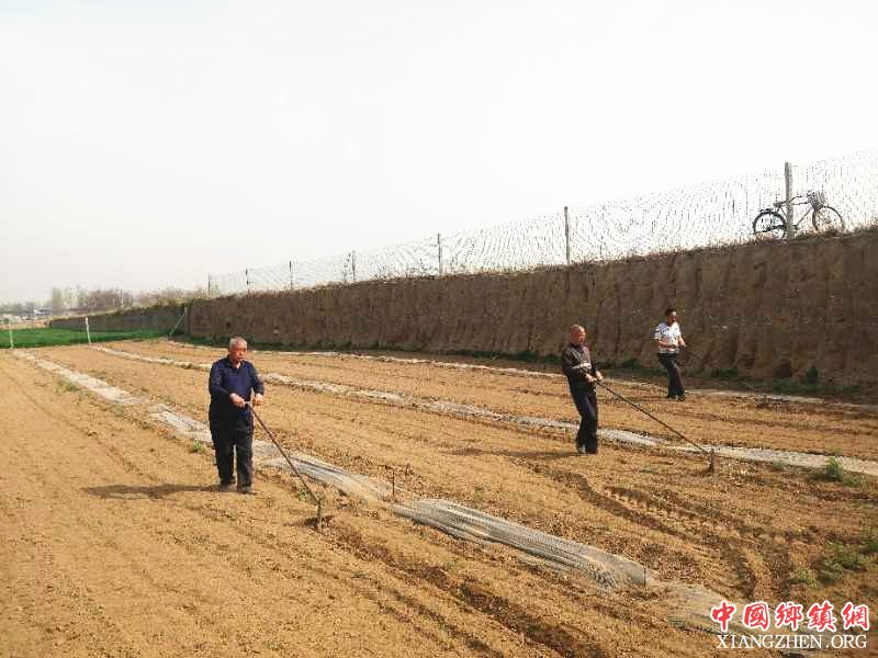 <b>陕西莲花寺镇南寨村：发展林下经济作物套种  助推脱贫攻坚</b>