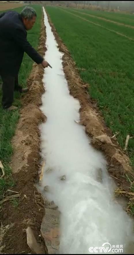 <b>河北新乐“牛奶水”浇麦“绿茶水”浇树 官方介入调查</b>