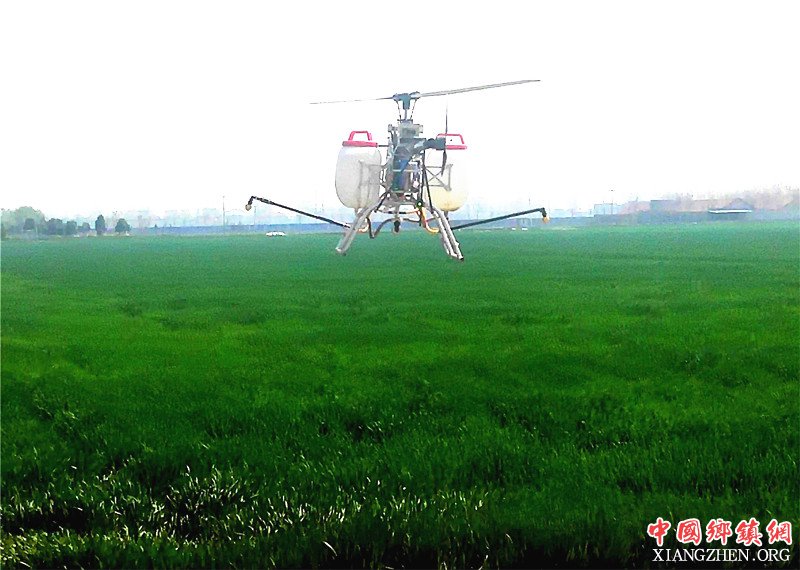 <b>山东郯城：智能“无人机”喷洒农药省力省时又省钱</b>